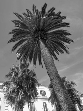 İtalya 'nın Bari kenti