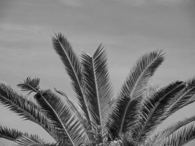 İtalya 'nın Bari kenti