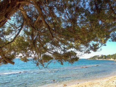 Yunanca Katakolon Plajı