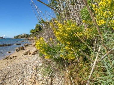 Yunanca Katakolon Plajı