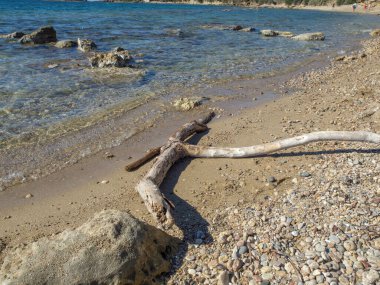 Yunanca Katakolon Plajı