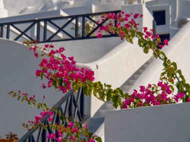 Yunanistan 'daki Santorin Adası