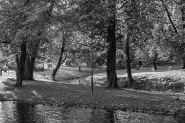 Westphalia 'daki Velen şehrinde sonbahar mevsimi