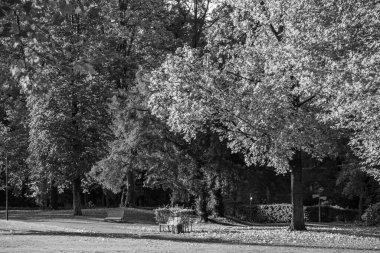 Westphalia 'daki Velen şehrinde sonbahar mevsimi