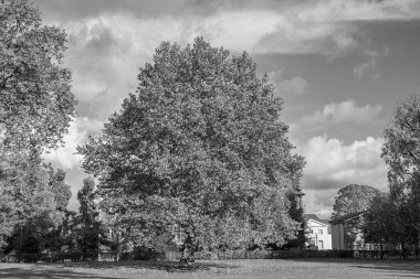 Westphalia 'daki Velen şehrinde sonbahar mevsimi