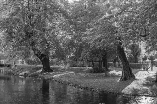Westphalia 'daki Velen şehrinde sonbahar mevsimi