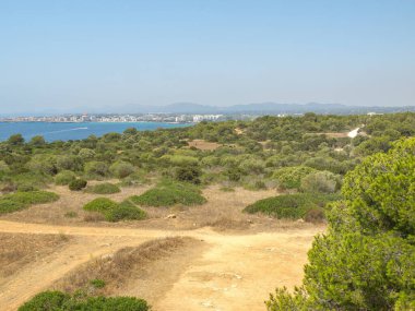 İspanya 'daki Mallorca adası