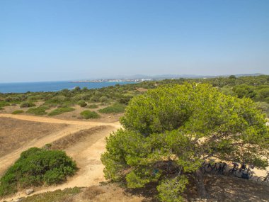 İspanya 'daki Mallorca adası