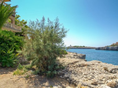 İspanya 'daki Mallorca adası