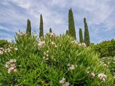 İspanya 'daki Barselona şehri.