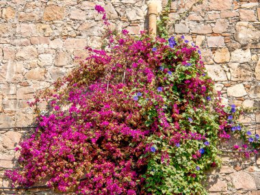 İspanya 'daki Barselona şehri.