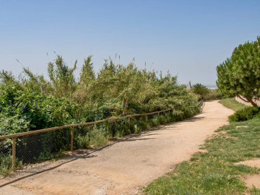 İspanya 'daki Barselona şehri.