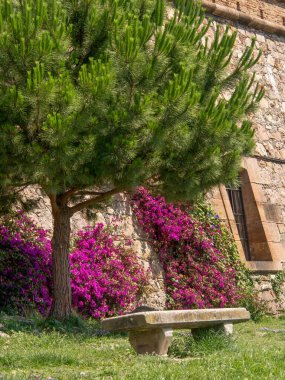 İspanya 'daki Barselona şehri.