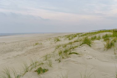 Kuzey denizindeki Wangerooge adası.