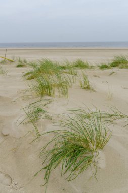 Kuzey denizindeki Wangerooge adası.