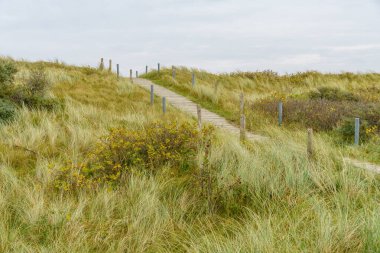 Kuzey denizindeki Wangerooge adası.