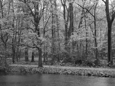 Alman ormanlarında sonbahar zamanı