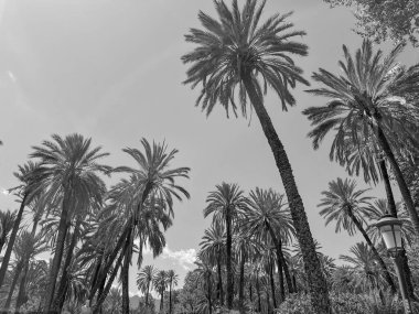 the city of Palermo in italy