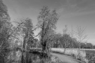 Westphalia 'daki gemen kalesi.