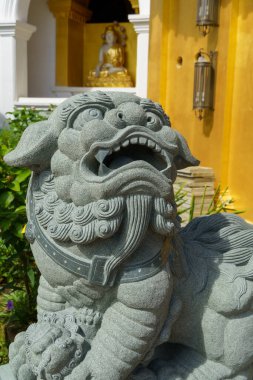 Malezya Penang Şehir