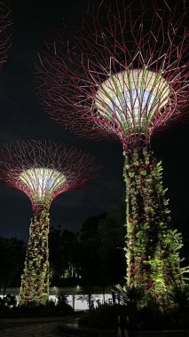 Asya 'daki Singapur şehri