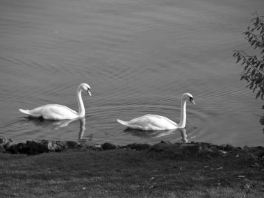 Almanya 'da Schwerin şehri