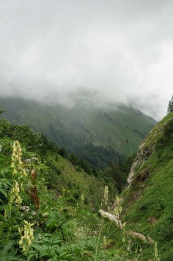 Alplerde yürüyüş.