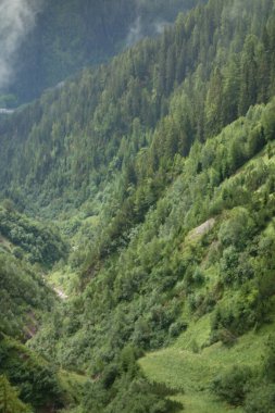 Avusturya Alpleri'nde hiking