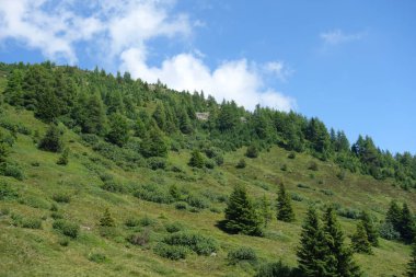 Avusturya Alpleri'nde hiking