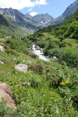 Avusturya Alpleri'nde hiking