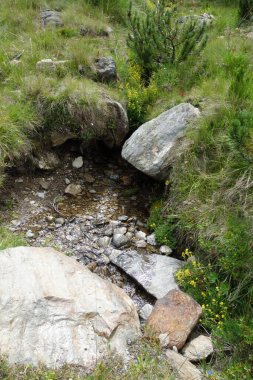 Avusturalya 'daki Alpler