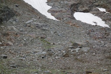 Avusturalya 'daki Alpler