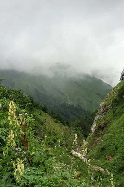 Alplerde yürüyüş.