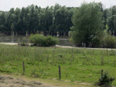 Ren nehrinde bislich 'te