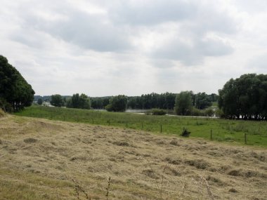 Ren nehrinde bislich 'te