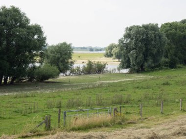 Ren nehrinde bislich 'te