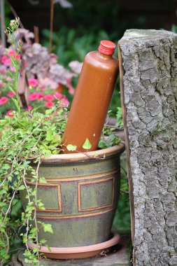 Hollanda 'da Eibergen