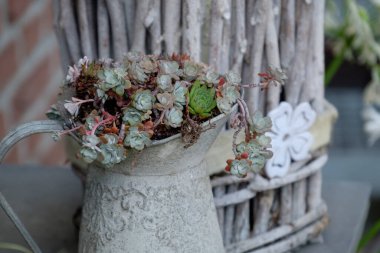 Hollanda 'da Eibergen