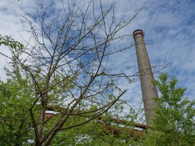 Alman Muensterland 'inde yaz mevsimi