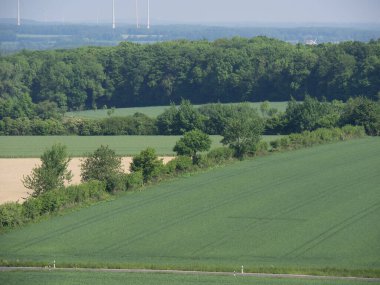 Westphalia 'da yaz zamanı
