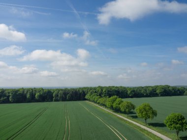 Westphalia 'da yaz zamanı