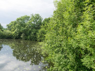 Alman Muensterland 'inde yaz mevsimi