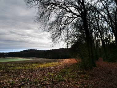 Alman Muensterland 'inde sonbahar