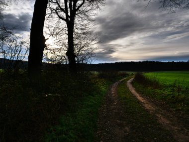 Alman Muensterland 'inde sonbahar