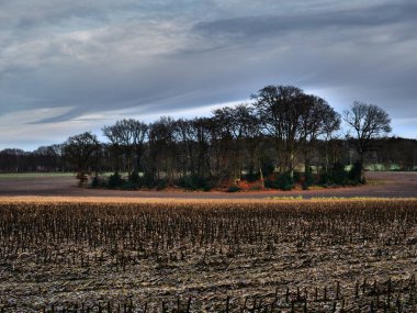 Alman Muensterland 'inde sonbahar