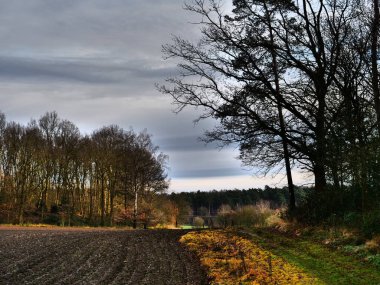 Alman Muensterland 'inde sonbahar