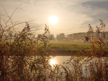 Alman Muensterland 'inde sonbahar