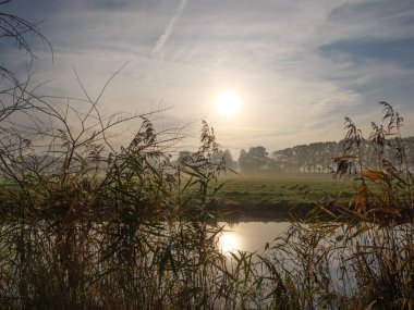 Alman Muensterland 'inde sonbahar