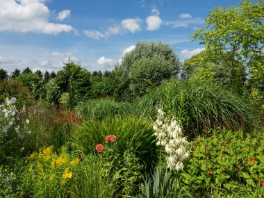 Hollanda 'daki bahçe