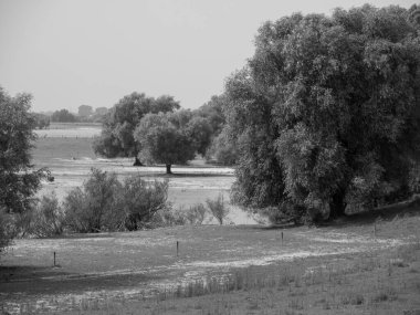 Ren Nehri 'ndeki hendek.